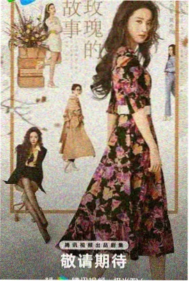 美剧网 风骚律师